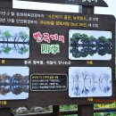 반곡못 Daum카페
