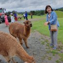 노천농장 이미지