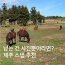 제주 여행에서 남긴 가장 특별한 기록💛 ｜다즐스냅 가격·예약·컨셉 총정리(촬영전)