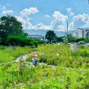 평창흔들바위 이미지