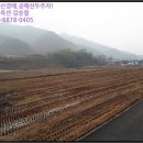 산동면 평선마을 이미지