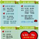 가평군 청평도서관 이미지