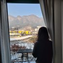 아르보의원 | 임신 준비 ⑤ 인공수정 1차 진행 과정과 후기(정부지원금O)