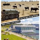 한강목장 이미지