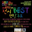 렙타일갤러리