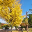 시지속내과의원 이미지