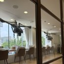 차홍룸 압구정 | 서울 강남구 여름 톤다운 염색 한설 실장님 후기 ‘차홍룸 압구정점’