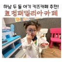 두 돌 아이와 갈만한 곳, 하남 두 돌 키즈카페 추천, 하남 미사 키즈카페 효정패밀리아카페 내돈내산 후기!
