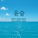 윤슬 이미지