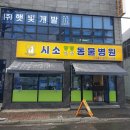 시소동물병원 이미지