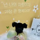 수멍발소 이미지