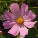 희망행정사 이미지