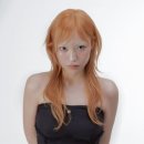헤어브릭 이미지