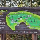 죽도봉공원 이미지