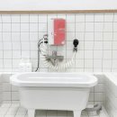 쁘띠 펫 살롱 | 강아지 애견욕조 스파 강이지미용 펫살롱 애견동반펜션 추천🐶