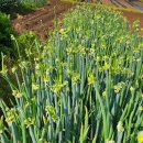 삼동농장 이미지