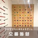 오름 ABA 아동발달 연구소 | 김해 아동발달센터 상담 후기 오름동행 발달특수체육교육연구소 김해점