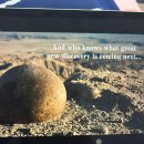 Everything Everywhere All At Once | Everything, everywhere, all at once