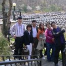 광수농장2 이미지