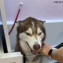 멍클스튜디오 이미지