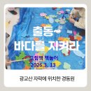 환경 그림책 놀이 | 환경 그림책놀이 수업 "고래들의 산책" 바다야 미안해