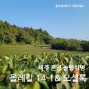 제주오설록티뮤지엄 이미지