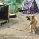 비봉세탁소 이미지