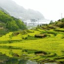 행복한 순간 이미지