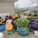 당진3동 봉사회 기금마련 열무김치 담다 이미지