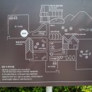 셀로스터스 이미지