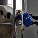 여운목장 | [용인 농도원목장] 예약부터 시설, 점심 도시락, 체험 솔직후기