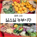 농부 | 페루 리마] 바이오페리아 aka 농부시장 후기