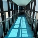 대덕구청 별관 이미지