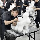 애견미용 이미지