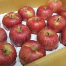 유성2농장 이미지