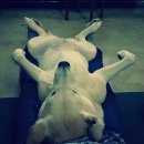 앨리스게스트하우스 이미지