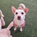 오디가개 이미지