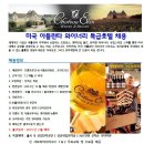 (주)프로액티브러닝 Daum카페