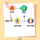 모던복싱 이미지