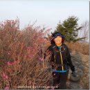 삼화여행사