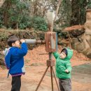 돌하르방미술관 이미지