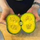 봉애골 자연농장 | [제주 단호박] 서귀포 농장직송 제주도 미니 밤호박 보우짱 (ft. 다이어트 식단)