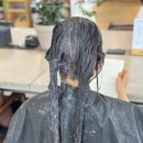 시크릿지니