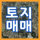 영웅부동산컨설팅공인중개사사무소 이미지