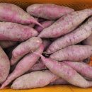 준 농장 이미지