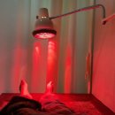 압구정연한의원 이미지