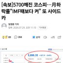 7월 코스피하락률, IMF때보다 크다 이미지