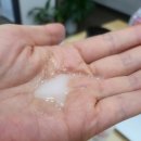 퓨어펫(pure pet) 이미지