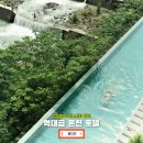동성카서비스 | 대만 여행 숙소 추천 꽃디아 온천 호텔 : 온센 파파와카