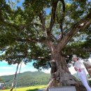 남해-235 이미지